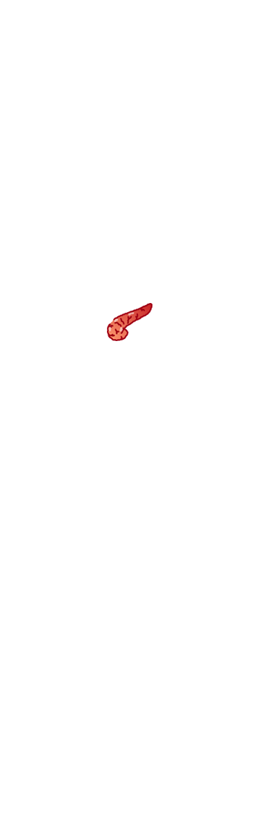 bauchspeicheldruese